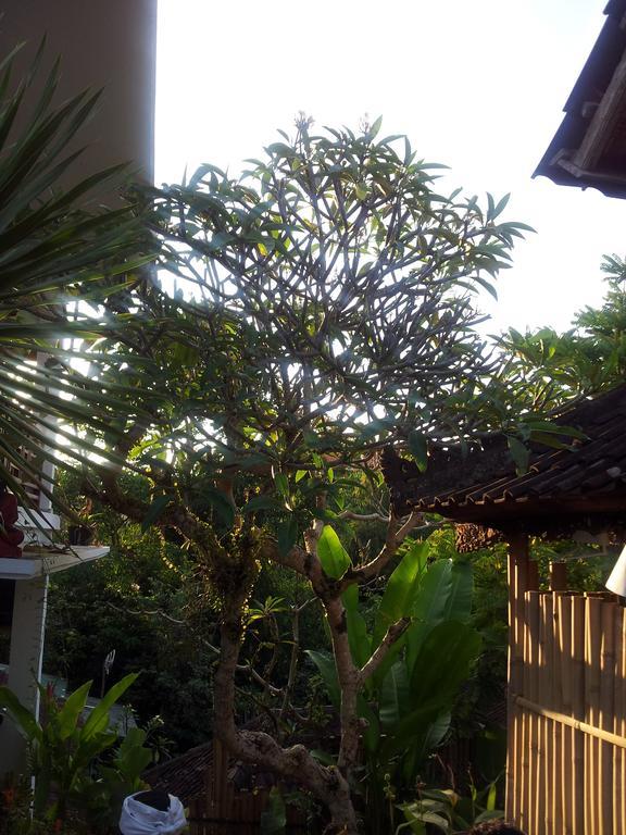 Sun House Ubud (Bali)